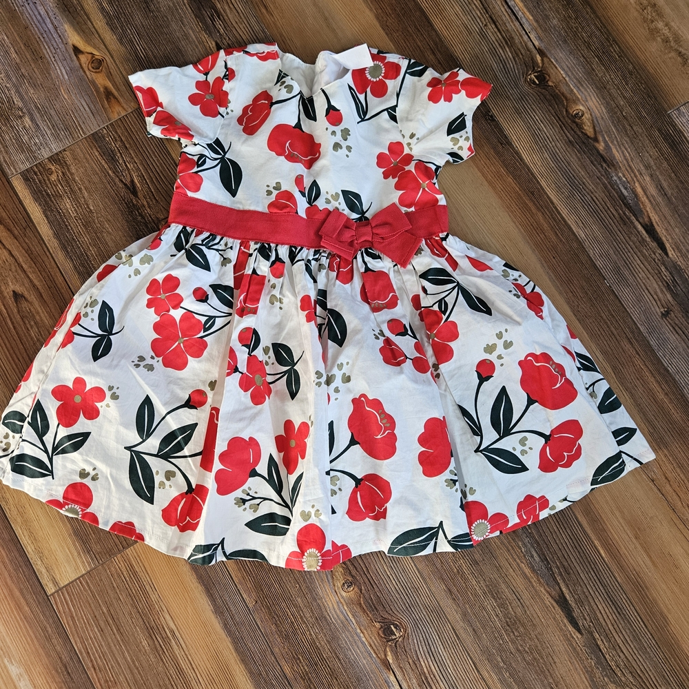Carter's White Dress with Red Floral Pattern